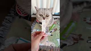 被猫狗抓伤或咬伤后，是否需要打狂犬疫苗？ 被猫抓伤 被猫咬了 狂犬疫苗 被猫狗抓伤怎样处理