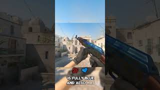 CS2 FUNFACTS: The 1million dollar ak Bluegem  #csgo #foryou