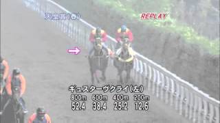 ギュスターヴクライ 追い切り 天皇賞(春) 2012/04/29 栗東･荒川