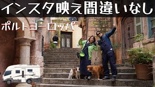 「和歌山に再現の中世ヨーロッパの街並みを愛犬と散歩したよ」の巻。【#2 停まった場所が我が家 2022】【ワンコと車中泊】【くるま旅】【車中泊】