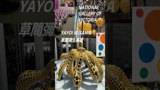 [National Gallery of Victoria] Yayoi Kusama Exhibition 2025 草間彌生展覽