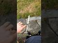 Half decent flip clip #balisong #butterflyknife #tricks #trainer #viral #shorts #shortsfeed #skill