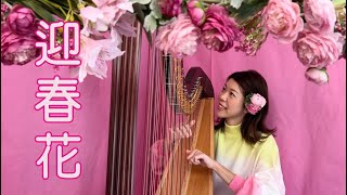 Chinese New Year Song 《迎春花 》Harp Cover