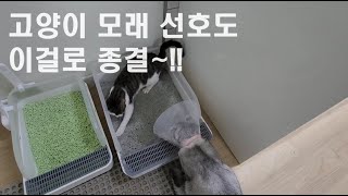 두부모래 VS  벤토나이트 여기에 정답~! #협찬환영