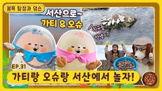 볼록 탐정과 댕슨ㅣEp.31ㅣ가티랑 오슈랑 서산에서 놀자!ㅣ딩동댕유치원