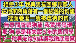 相戀3年 我與男友回鄉見家人，在他家院角落有一個破舊的狗籠，裡面養著一隻被虐待的狗，無意間瞥眼狗籠 我驚愕發現，那 狗 竟是我失蹤5年的舊同學，下一秒男友說句話讓我徹底震驚！#人生故事 #情感故事