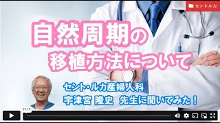 自然周期の移植方法についてーセント・ルカ産婦人科　宇津宮先生【ジネコ_妊活応援since2000】