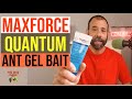 Maxforce Quantum Ant Gel Bait For Ant Control of Ghost Ants Bigheaded Ants  Crazy Ants Whitefooted