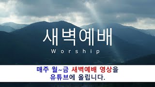 [광교안디옥교회] 2025년 1월 2일 (목) 새벽기도회_손호영 목사, 수5:1-12