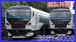 【運転再開】E257系2000番台「踊り子」定期・臨時列車ともに再開