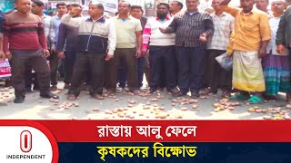 যে কারণে বিক্ষোভে রাজশাহীর আলুচাষীরা | Potato | Independent TV