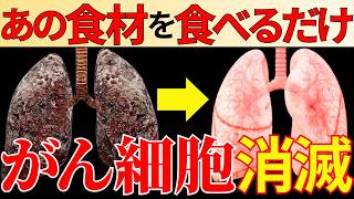 【永久保存版】世界が認めた！がんのリスクを下げる最強の食品11選【癌細胞消滅】