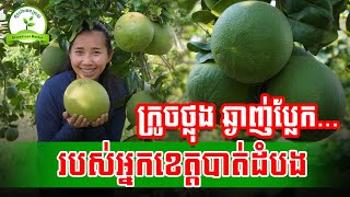 ក្រូចថ្លុង ឆ្ងាញ់ប្លែក របស់អ្នកខេត្តបាត់ដំបង