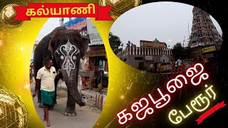 பேரூர் பட்டீஸ்வரர் திருக்கோவில் யானை கல்யாணிக்கு நடக்கும் கஜபூஜை #perurtemple #elephant #pateswarar