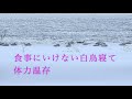 226小川原湖 hd 1080p