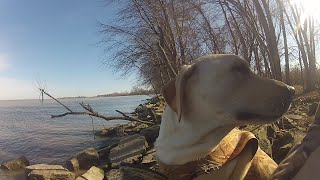 Willow Point Wildlife Area  duck hunting tips and info