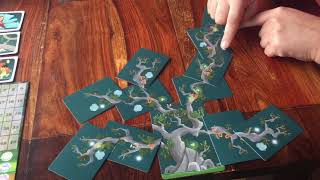 Kodama - board game tutorial by JustLetTerenceExplainIt