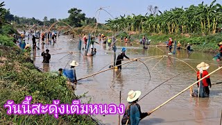 ลงปลาหนองกุดผ่านบัตร 60 บ. บ้านแดง ต.บ้านแดง อ.พิบูลรักษ์ จ.อุดรธานี