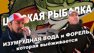 ЦАРСКАЯ РЫБАЛКА! ФОРЕЛЬ на БЛЕСНЫ и СИЛИКОН в СПБ! КРАСОТА ВОКРУГ, но ЧТО-ТО ПОШЛО НЕ ТАК