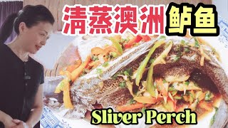 清蒸鱸魚|鮮嫩多汁無腥味|清蒸魚的方法|新澳洲生活《美食與健康 90》How to steam fish to make it tender and without any fishy smell.