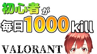 【検証】※視聴者さん参加OK！！完全復活！？になるといいなあ。。。毎日デスマッチで1000killしたら最強になれるのか！？-14日目-【VALORANT】