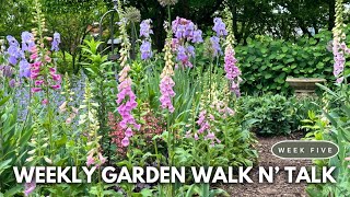May Garden Tour 2024 / Backyard Flower Garden Ideas from my Landscape Cutting Garden