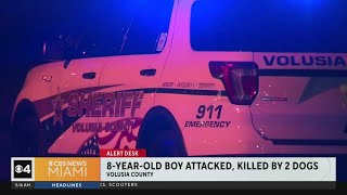 Boy, 8, attacked and killed by 2 dogs in Central Florida