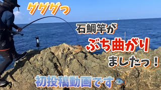 真夏の石鯛釣り🐟竿ぶち曲げた魚の正体は…