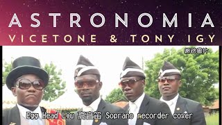 Vicetone \u0026 Tony Igy - Astronomia(高音笛) Soprano recorder cover