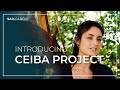 CEIBA Project: Introduction  -  SAILCARGO INC.