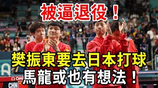 被逼退役！樊振東或去日本打球！馬龍也有想法？【小方說養生】