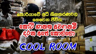 කොරියාවේ කෝටි ගනන් වටිනා COOL ROOM  බලාගන්න අපෙ කොල්ලො. අවුරුදු ගනන් ශීතකරණ ඇතුලෙ ගෙවෙන ජීවිත..