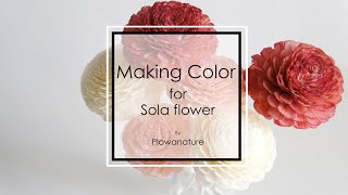 Making Color for Sola Flower