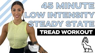 45 MIN Low Intensity Steady State (LISS) | Treadmill Follow Along!