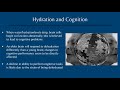 how hydration affects cognition and memory