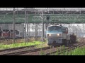 jr貨物 ef66 133 貨物列車 8865レ de10 1748無動回送 コキ チキ 稲沢駅