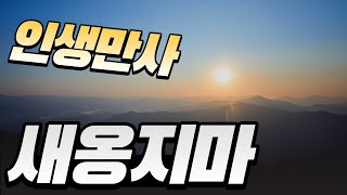 사자성어로 배워보는 영어표현 | 영어속담 | 2023년 추석 클래식 연주