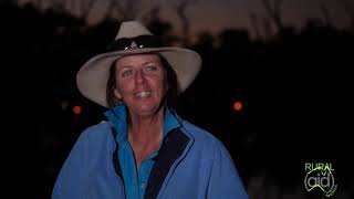 Lara Wetlands - Barcaldine Qld