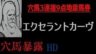 【斬！有力馬の取捨】京成杯オータムハンデ2014のエクセラントカーヴは頭まであるか！？