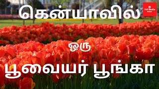 Poovaiyar Poonga in Kenya | Tamil Ladies  Group in Kenya | கென்யாவில் ஒரு பூவையர் பூங்கா