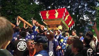 2017年 三木大宮八幡宮 秋祭り 本宮 高木屋台宮入り