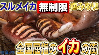 イカ好き必見！能登町小木で繰り広げられた大興奮イベント日本財団 海と日本PROJECT in いしかわ 2023 #07