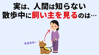 犬の散歩中の行動に関する雑学 #犬 #雑学 #聞き流し #睡眠 #癒し #いぬのきもち #犬のいる暮らし