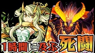 わらしべ降臨チャレンジ5 スルトでヨルズ降臨！【パズドラ】