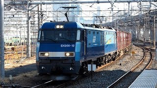 2019/03/02 JR Freight: Cargo by EH200-12 at Omiya