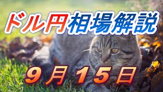 【TAKA FX】ドル円為替相場の前日の動きをチャートから解説。日経平均、NYダウ、金チャートも。9月15日