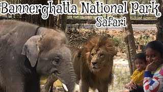 Unforgettable Jungle Safari at Bannerghatta National Park