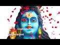 shivaratri song bhavabhava bhandhala భవ భావ బంధాల బ్రతుకెవ్వరు madhupriya kandikonda baji