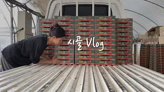 vlog. 똥개와 산다🐶ㅣ담양살이 브이로그ㅣ시골 좋아요👍