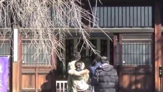 谷中七福神巡り,青雲寺,恵比寿天 20160110